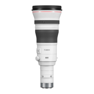 Canon RF 800mm f/5.6L IS USM super telephoto lens