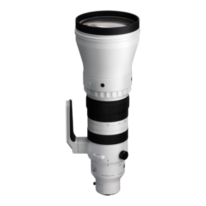 Sigma 300–600mm f/4 DG OS Sports telephoto zoom lens for Sony E-mount